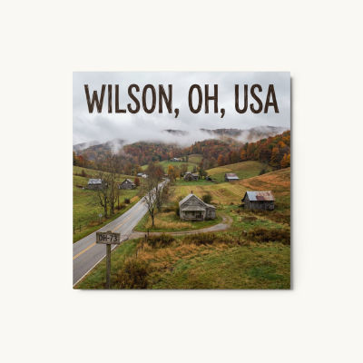 Wilson, OH Metal Print