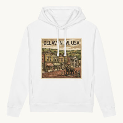 Delavan, WI Hoodie