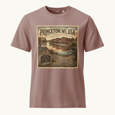 Princeton, WI Vintage Tee